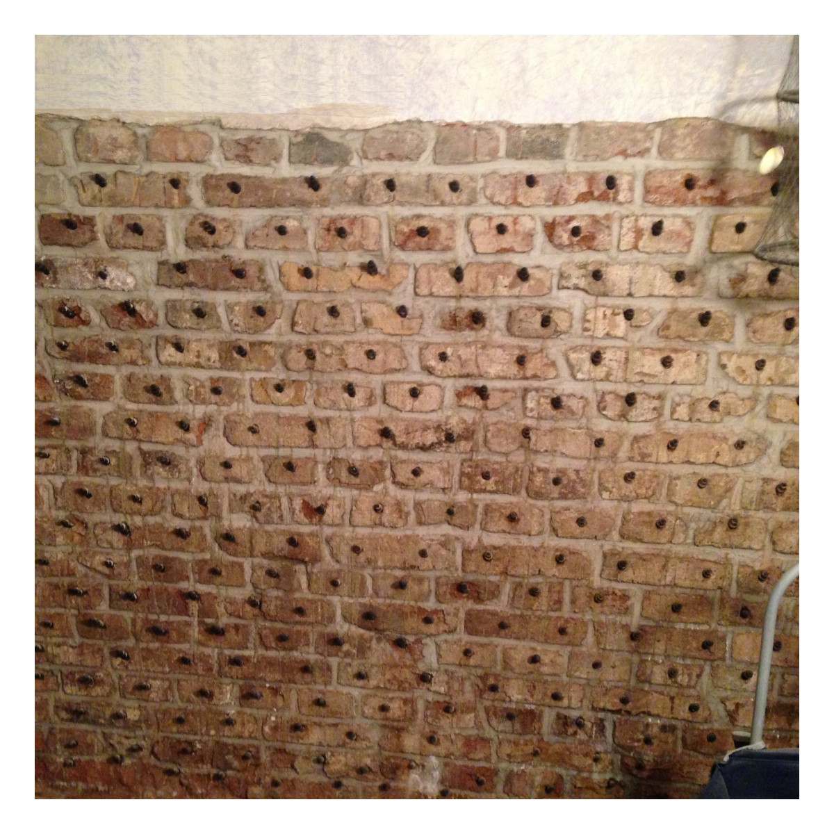 Kunststoff- Einschlagpacker 12 x 75 mm (VE = 100 Stk.)